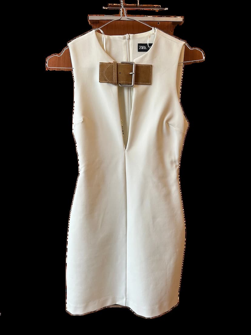 Zara dress