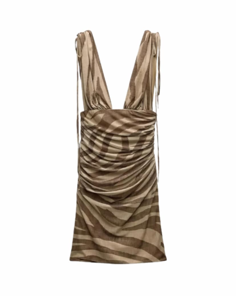 Brown Tan/Brown Zebra Print Mini Dress