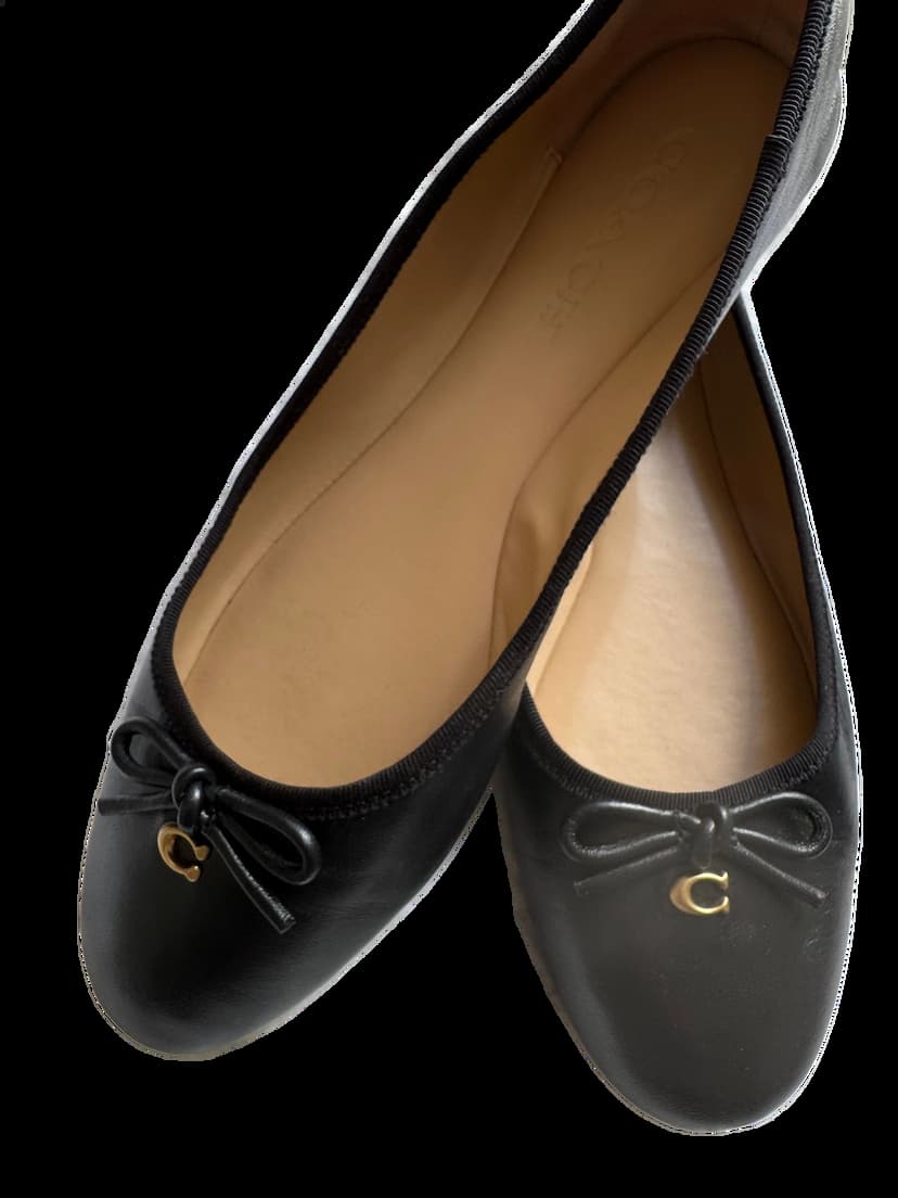 Coach Abigail Ballet Flat