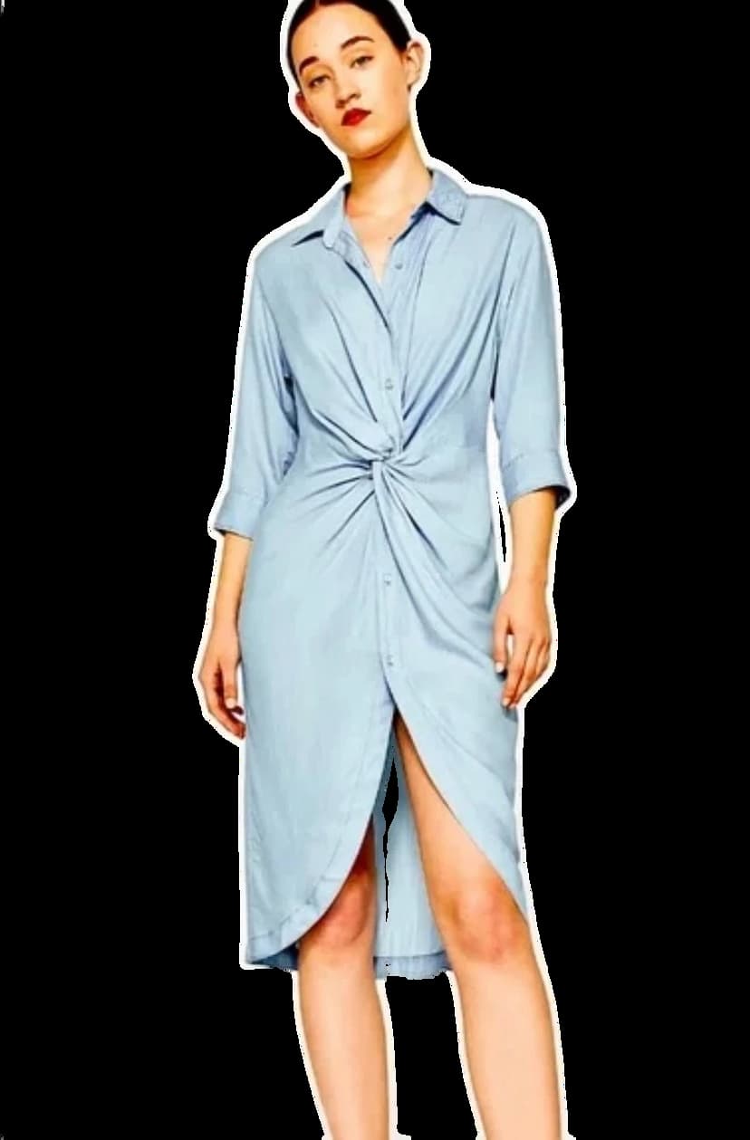 Zara Chambray Button Up Dress